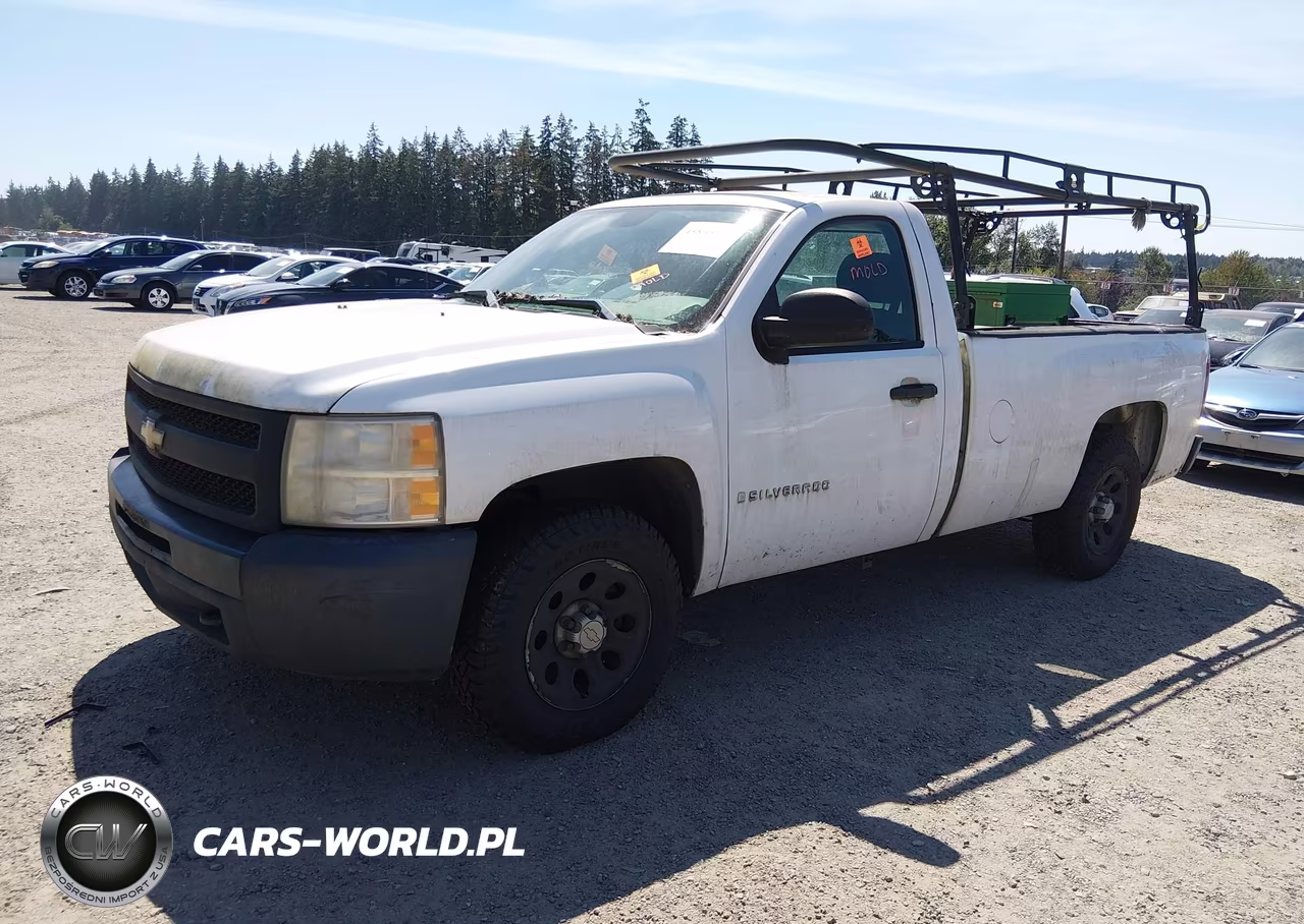 2009 Chevrolet Silverado 1500 Work Truck VIN:1GCEC14C19Z209389 - 2