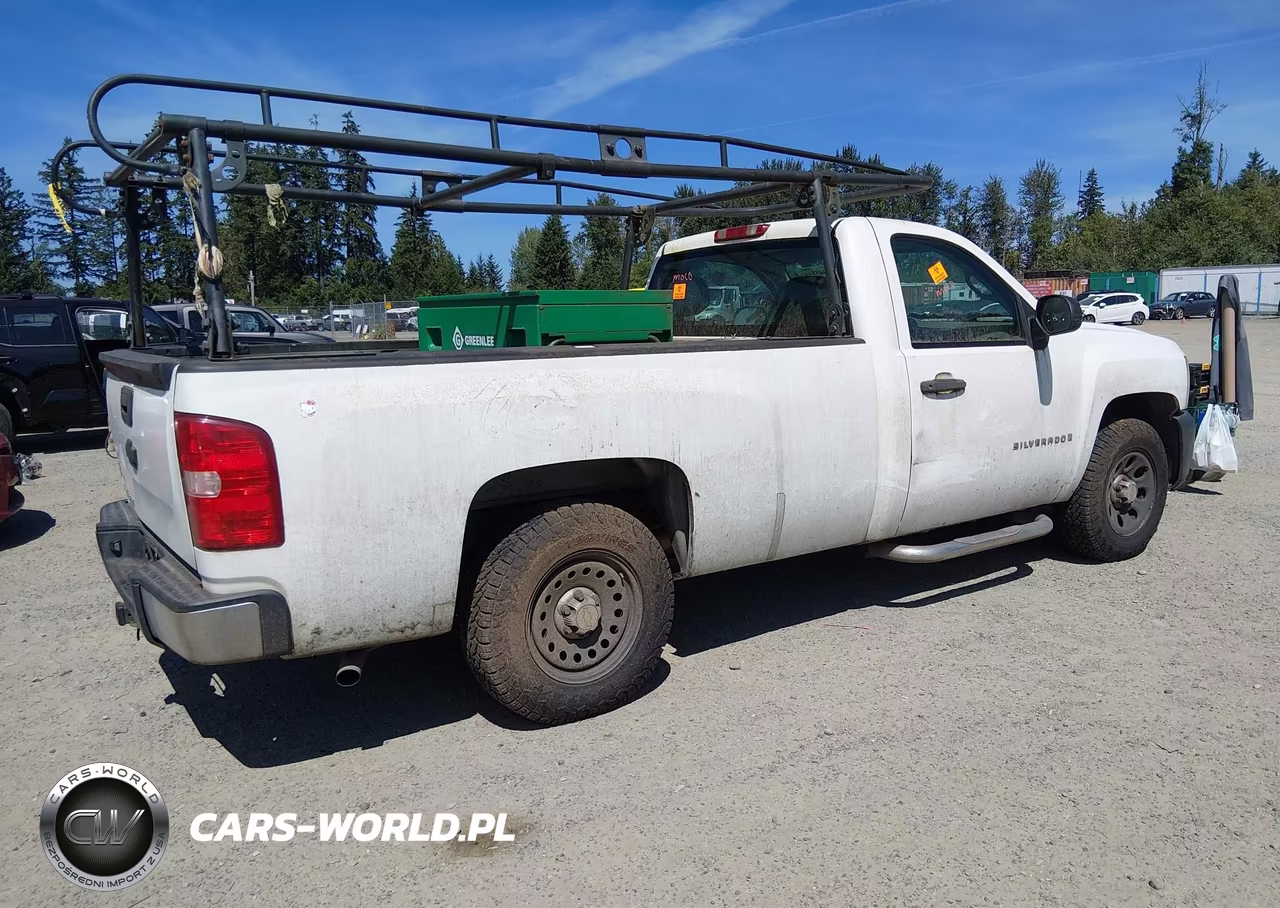 2009 Chevrolet Silverado 1500 Work Truck VIN:1GCEC14C19Z209389 - 4