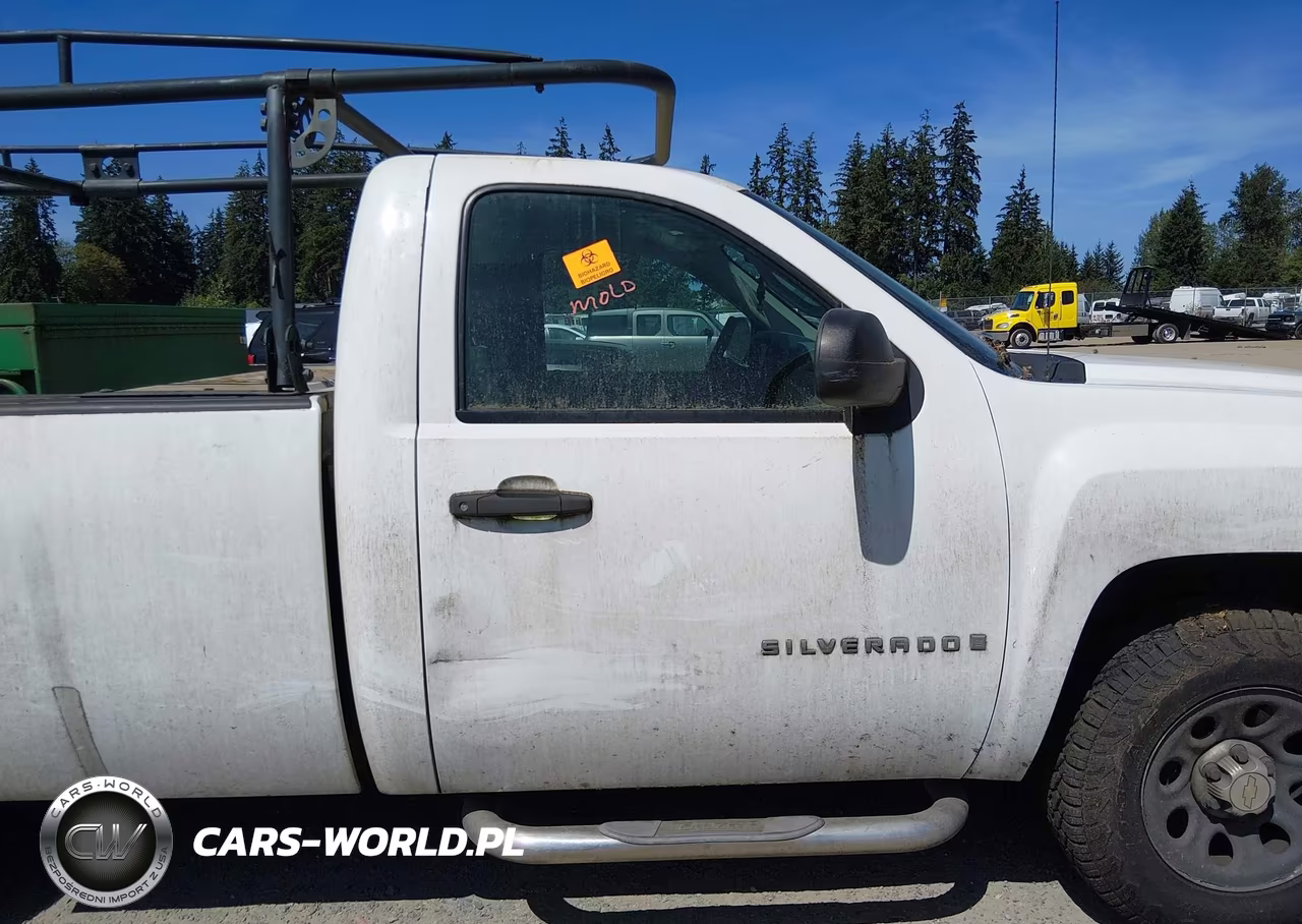 2009 Chevrolet Silverado 1500 Work Truck VIN:1GCEC14C19Z209389 - 6