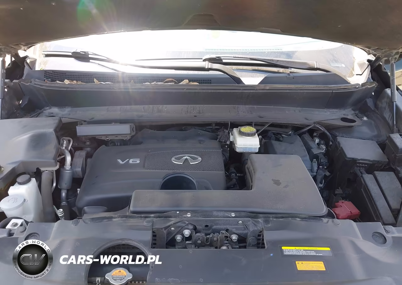 2019 Infiniti Qx60 Luxe VIN:5N1DL0MN3KC556380 - 10