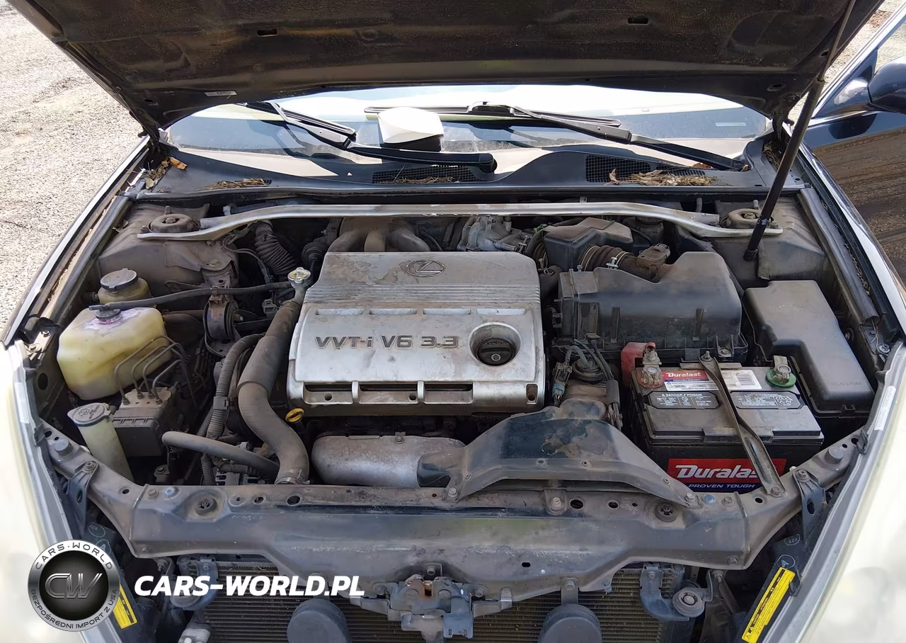 2004 Lexus Es 330 VIN:JTHBA30G345020657 - 10