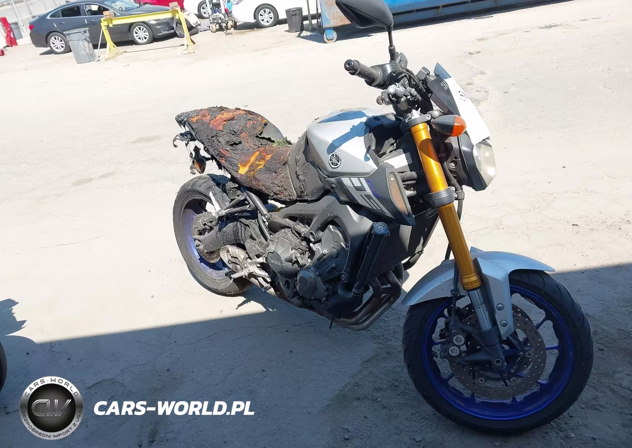 2015 Yamaha Fz09 C – zdjęcie 1 z 13