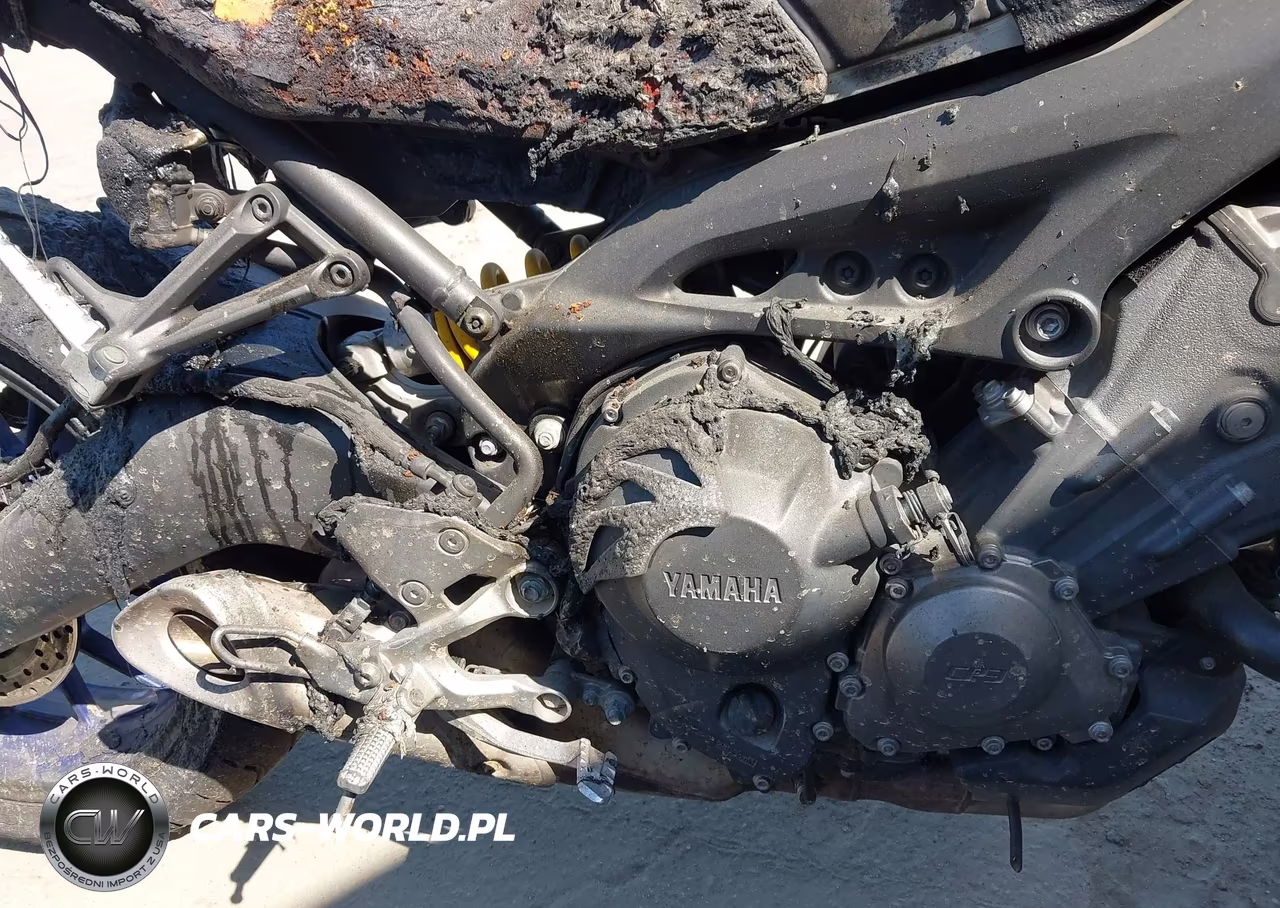 2015 Yamaha Fz09 C VIN:JYARN33Y8FA001875 - 8