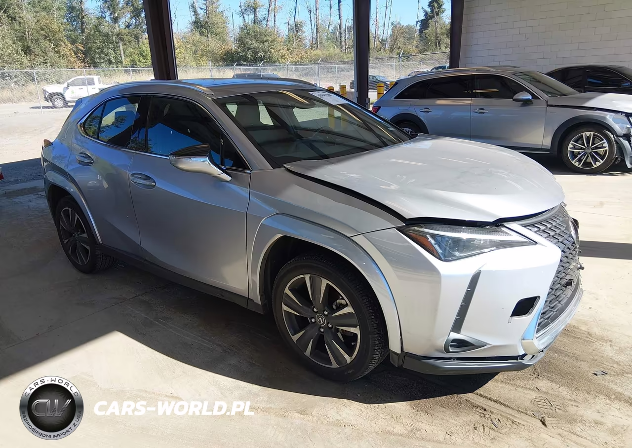 2024 Lexus Ux 250H Premium