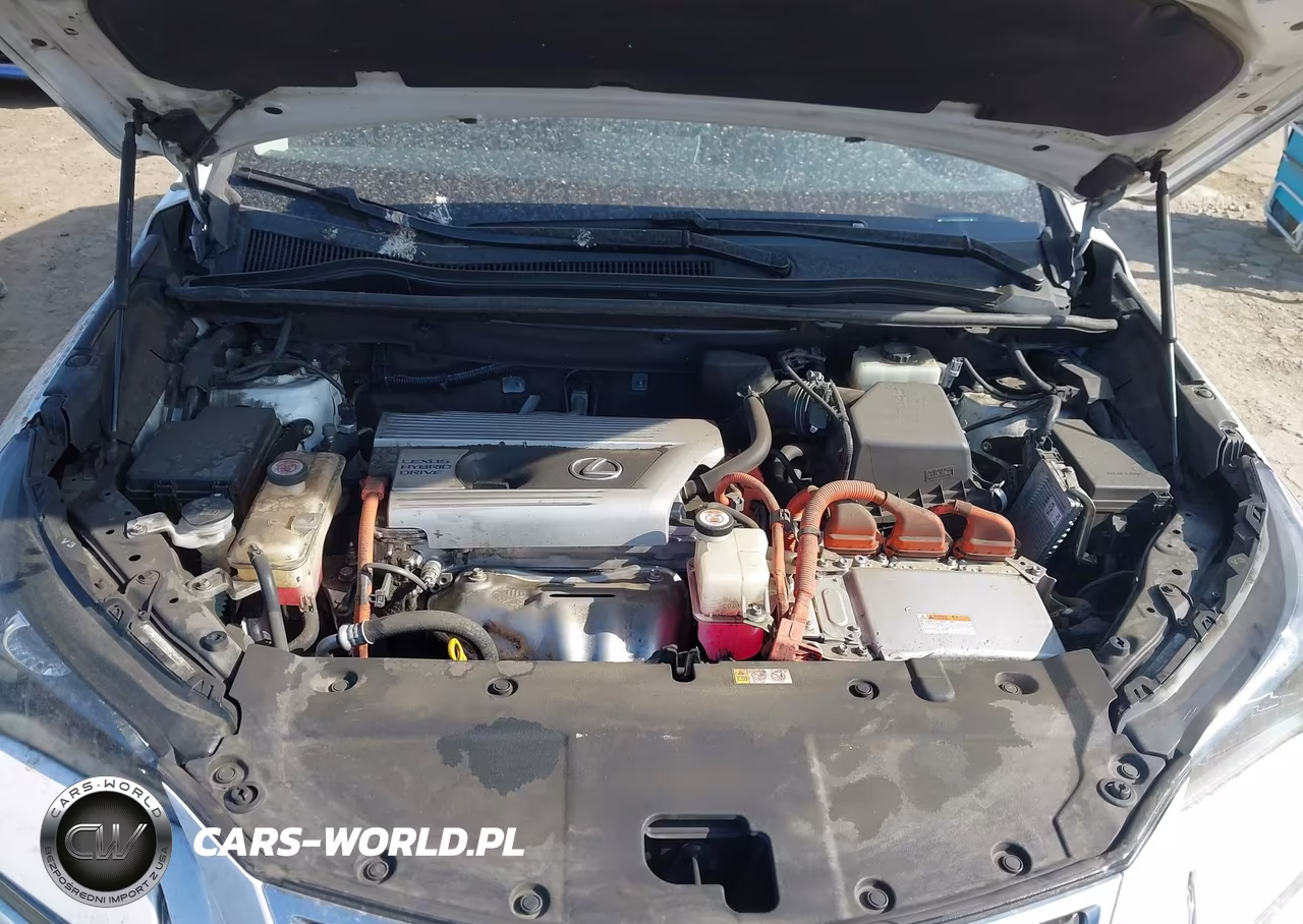 2020 Lexus Nx 300H VIN:JTJDJRDZ0L5003982 - 10