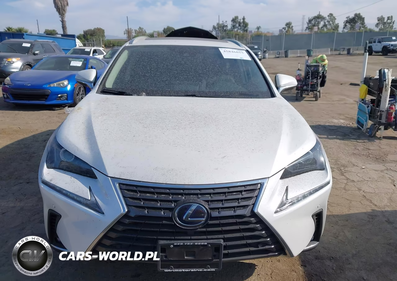 2020 Lexus Nx 300H VIN:JTJDJRDZ0L5003982 - 11