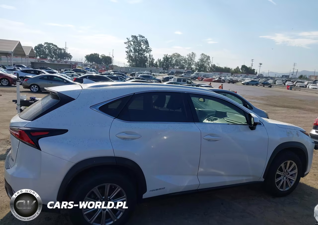 2020 Lexus Nx 300H VIN:JTJDJRDZ0L5003982 - 12