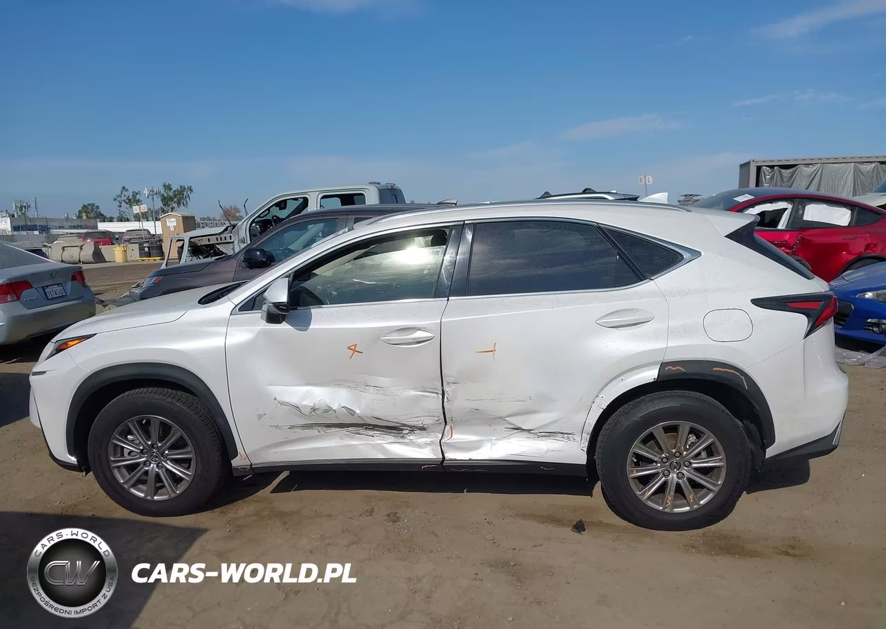 2020 Lexus Nx 300H VIN:JTJDJRDZ0L5003982 - 13