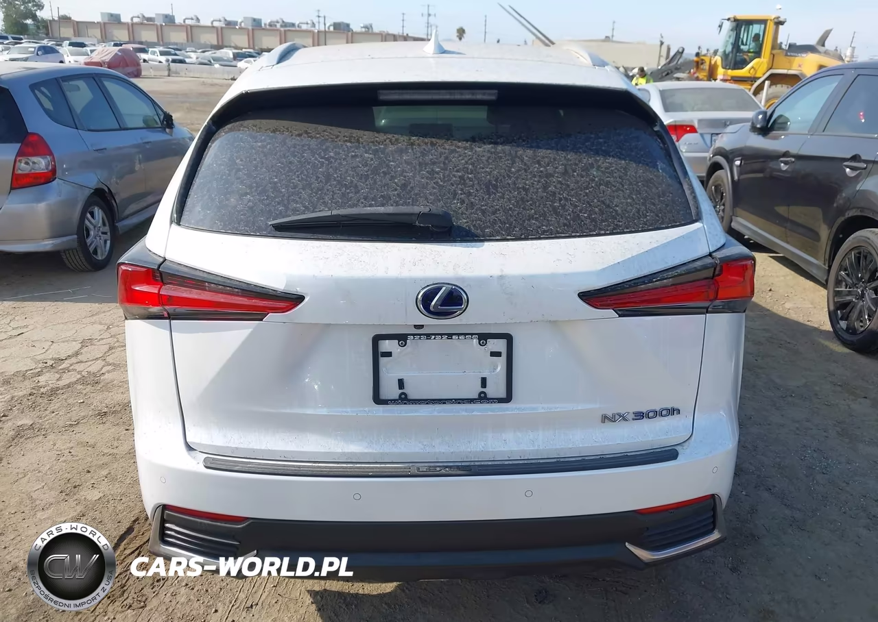 2020 Lexus Nx 300H VIN:JTJDJRDZ0L5003982 - 15