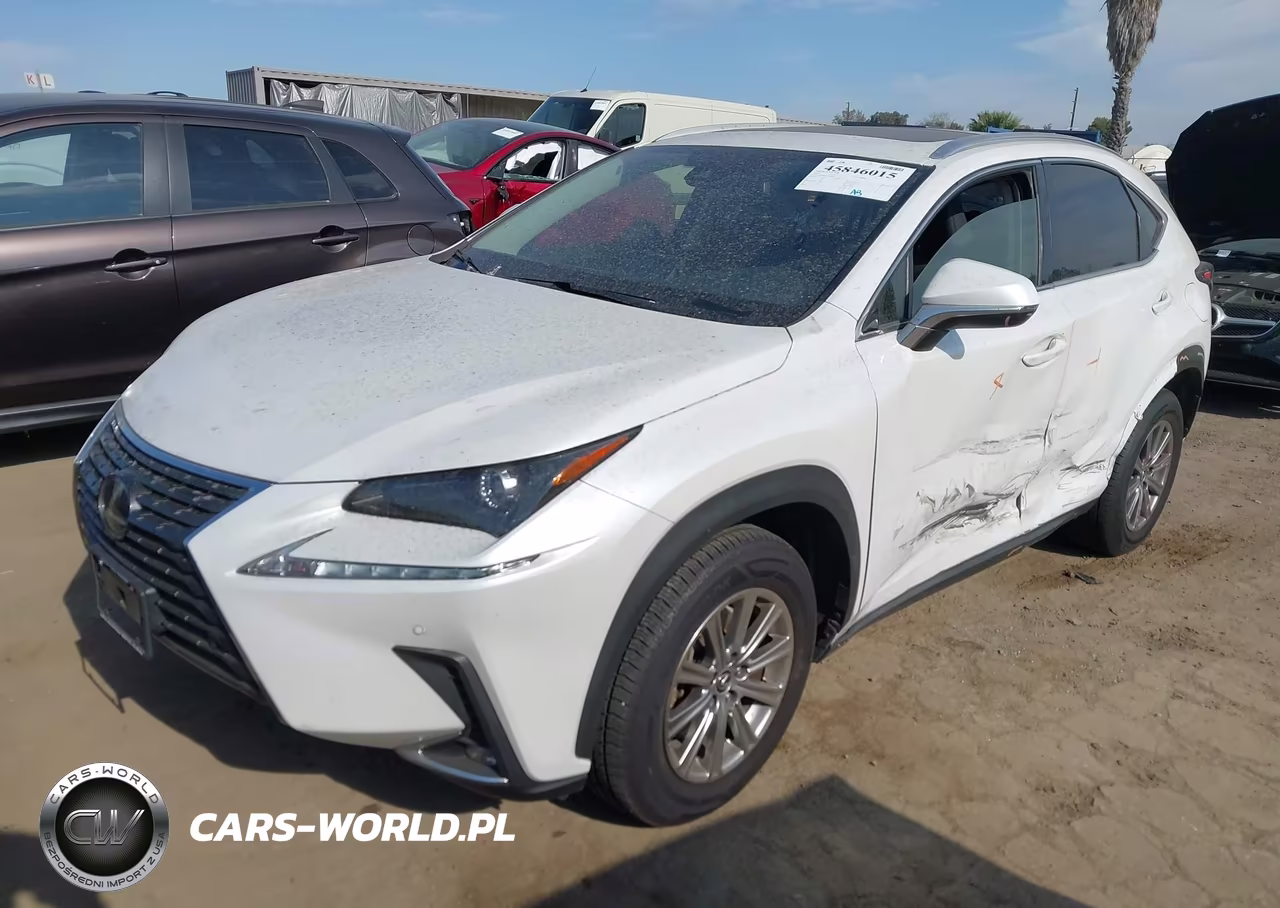 2020 Lexus Nx 300H VIN:JTJDJRDZ0L5003982 - 2
