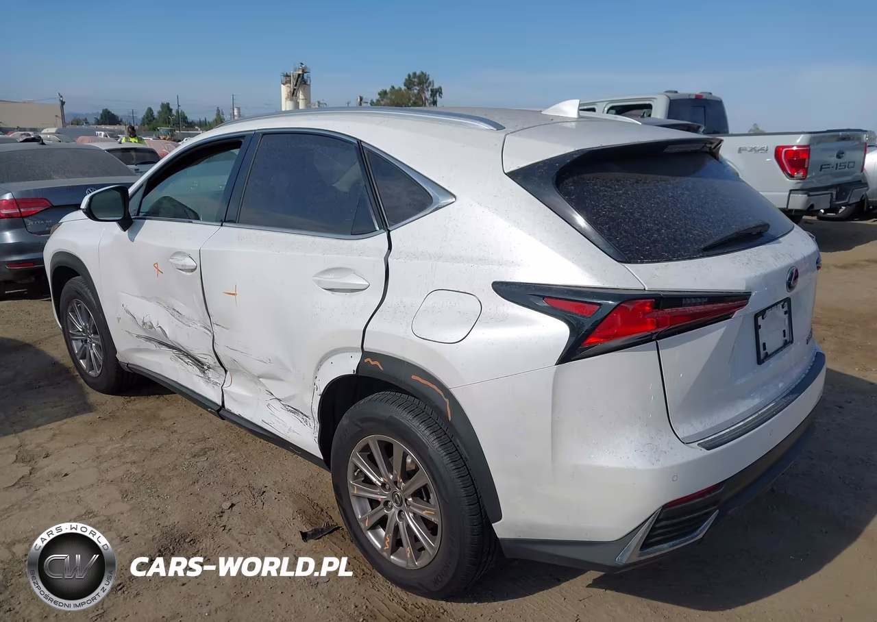 2020 Lexus Nx 300H VIN:JTJDJRDZ0L5003982 - 3