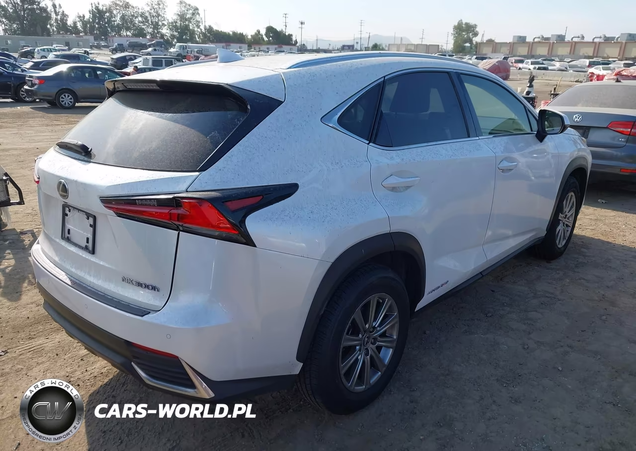 2020 Lexus Nx 300H VIN:JTJDJRDZ0L5003982 - 4