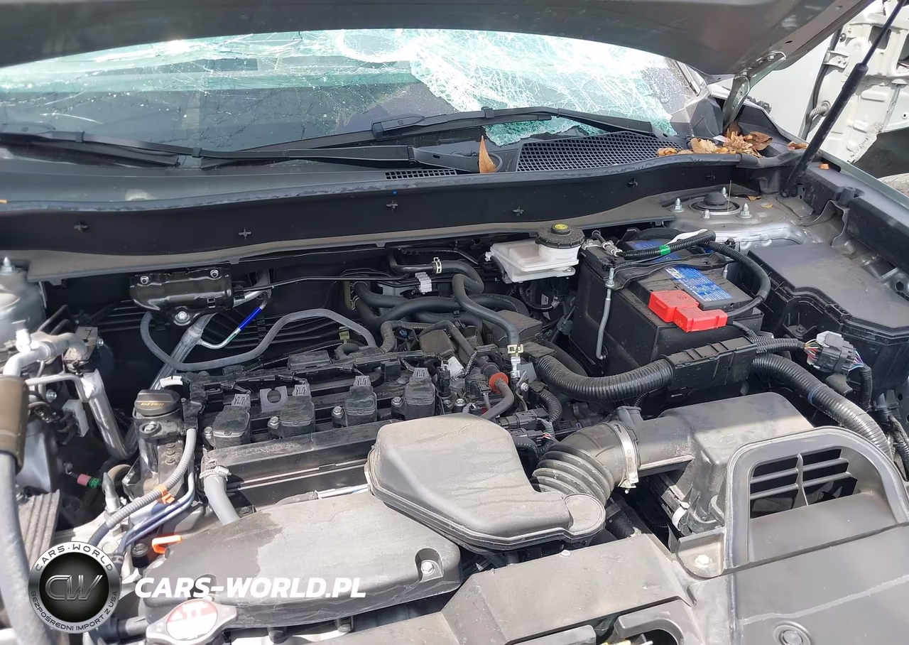 2025 Honda Cr-V Ex 2Wd VIN:2HKRS3H46SH324859 - 10