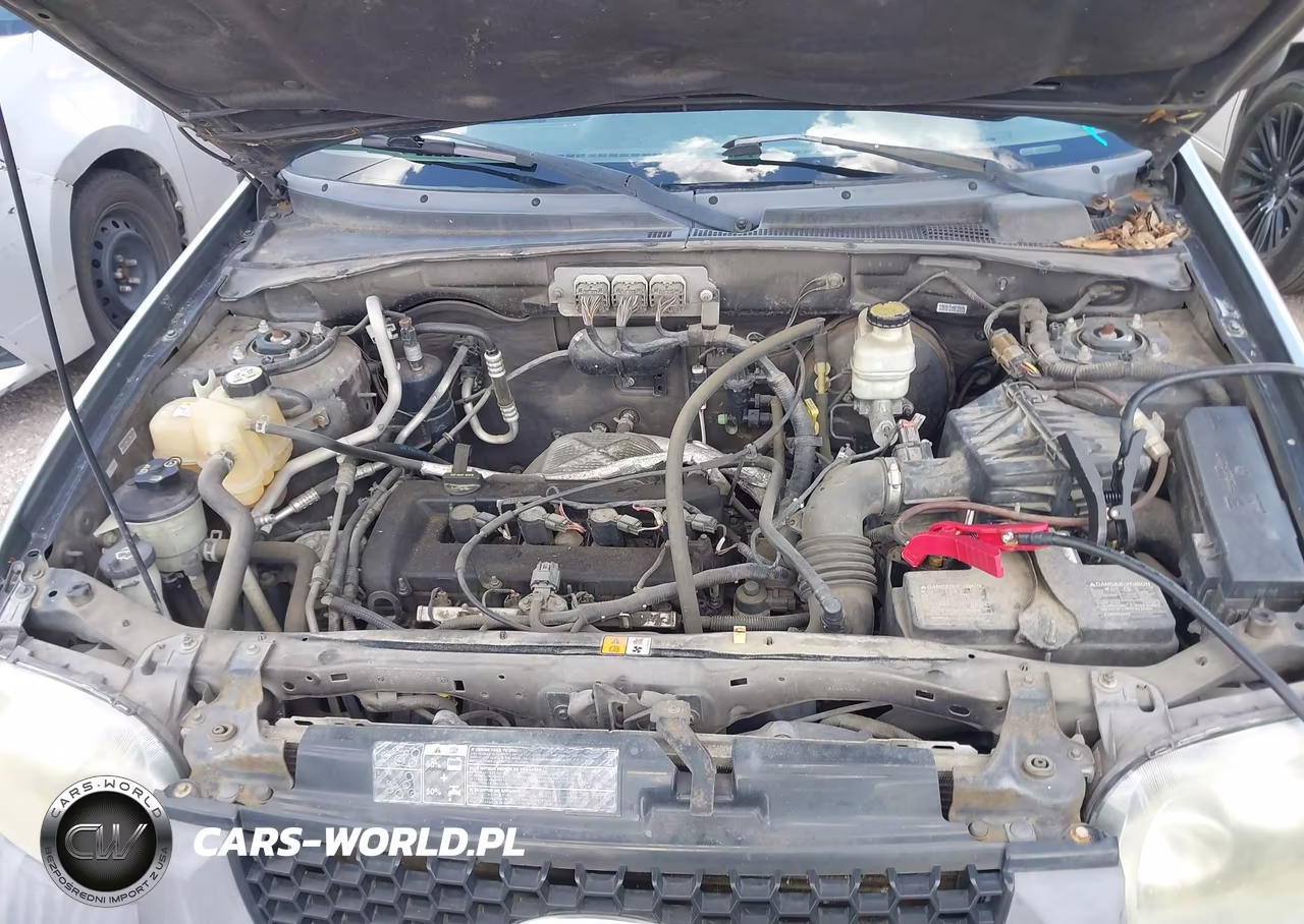 2006 Ford Escape Xls-Xls Manual VIN:1FMYU02Z76KD11548 - 10