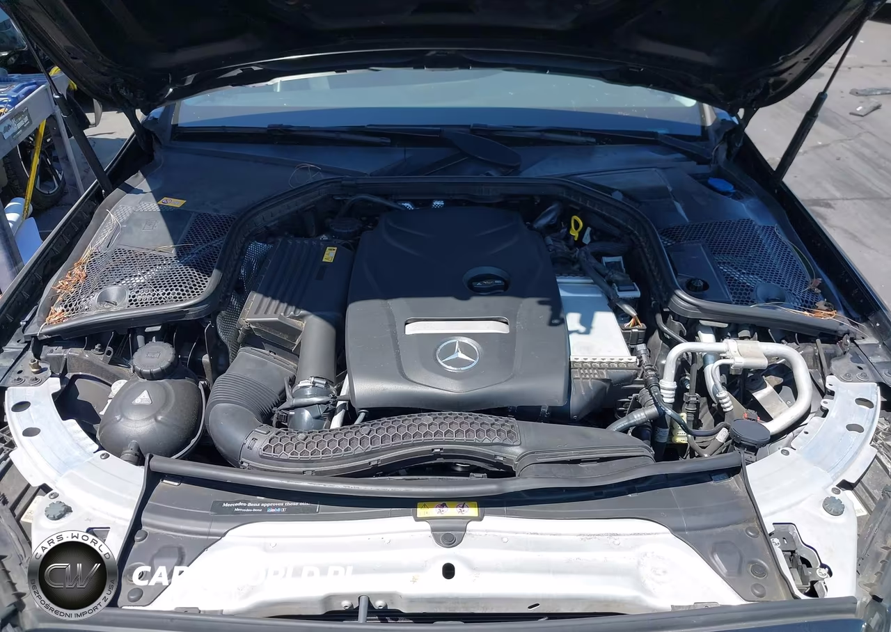2016 Mercedes-Benz C 300 VIN:55SWF4JB6GU145523 - 10