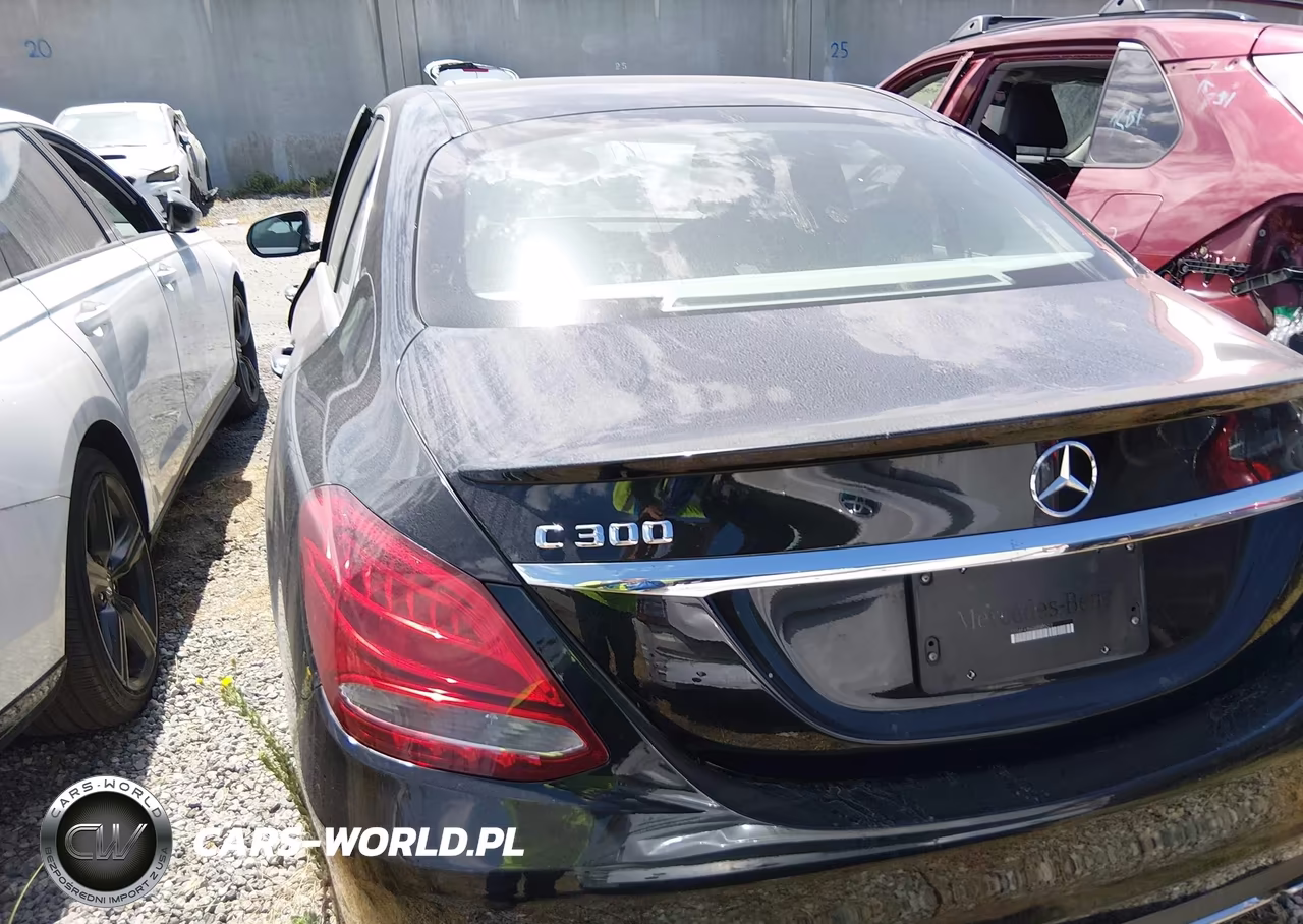 2016 Mercedes-Benz C 300 VIN:55SWF4JB6GU145523 - 17