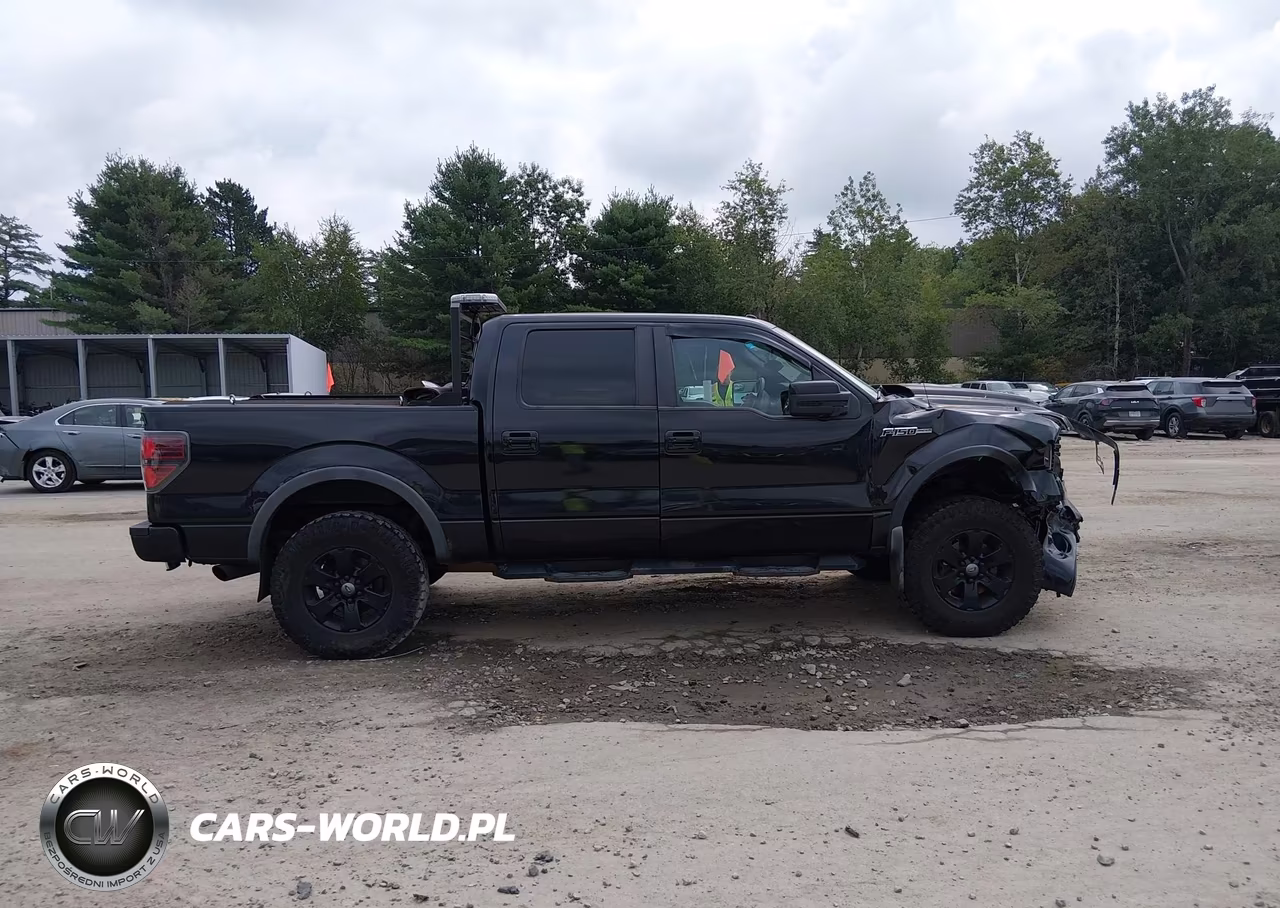 2011 Ford F-150 Fx4 VIN:1FTFW1EF8BFA75346 - 13