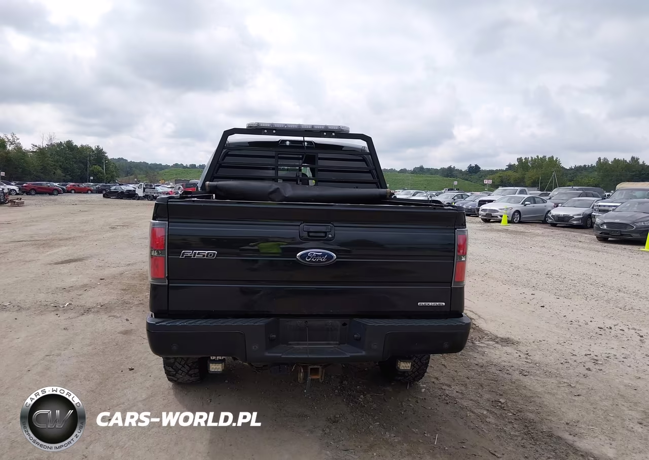 2011 Ford F-150 Fx4 VIN:1FTFW1EF8BFA75346 - 16