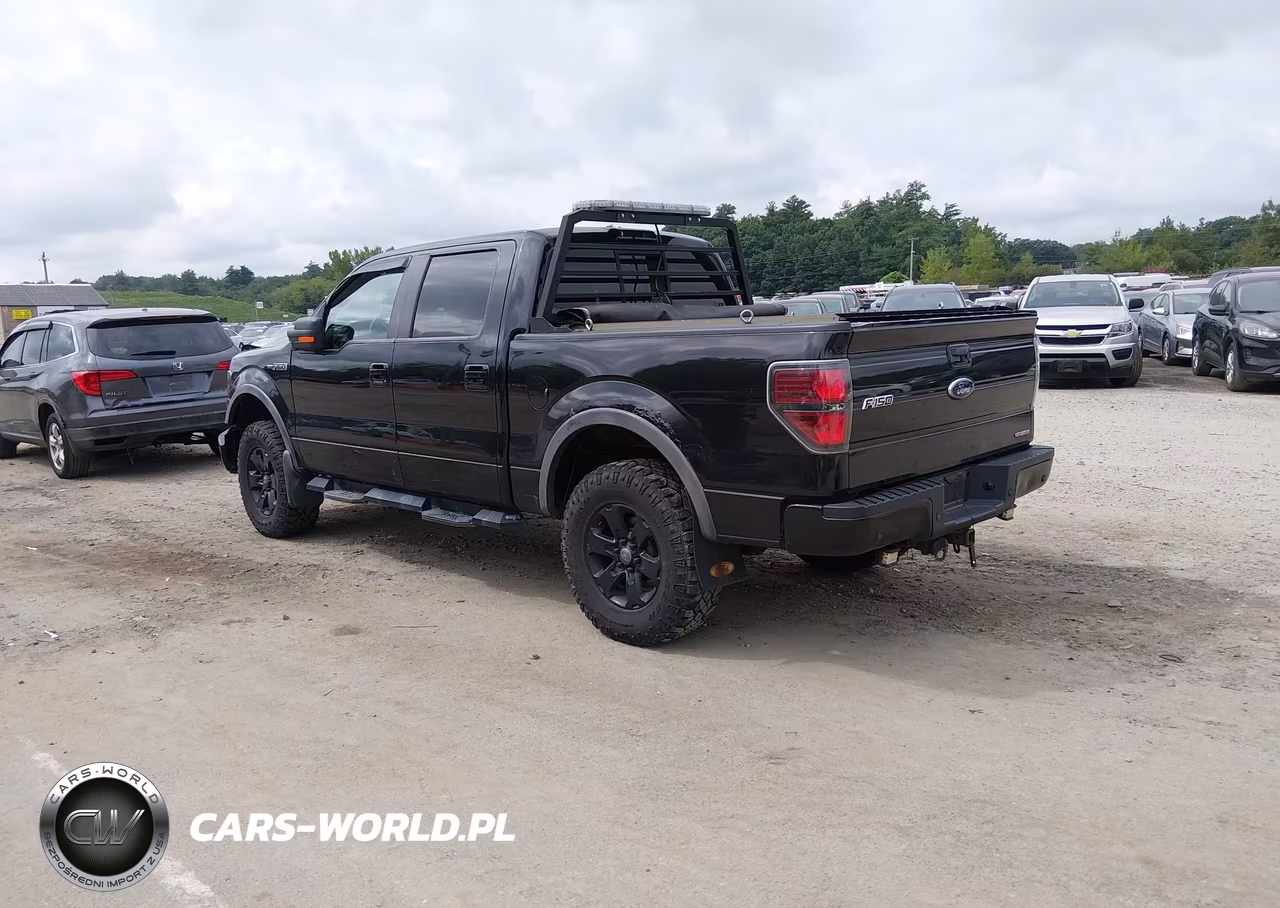2011 Ford F-150 Fx4 VIN:1FTFW1EF8BFA75346 - 3