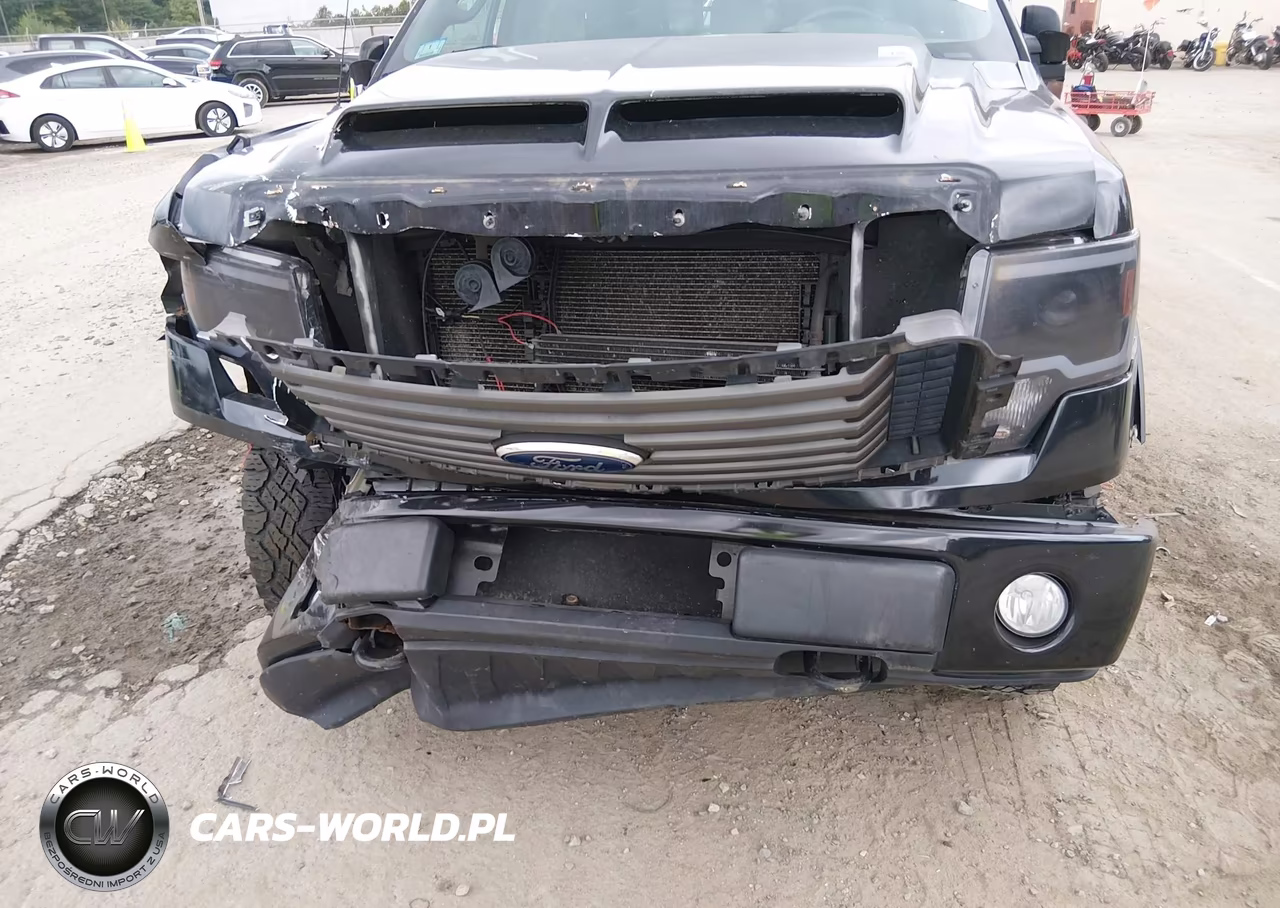 2011 Ford F-150 Fx4 VIN:1FTFW1EF8BFA75346 - 6