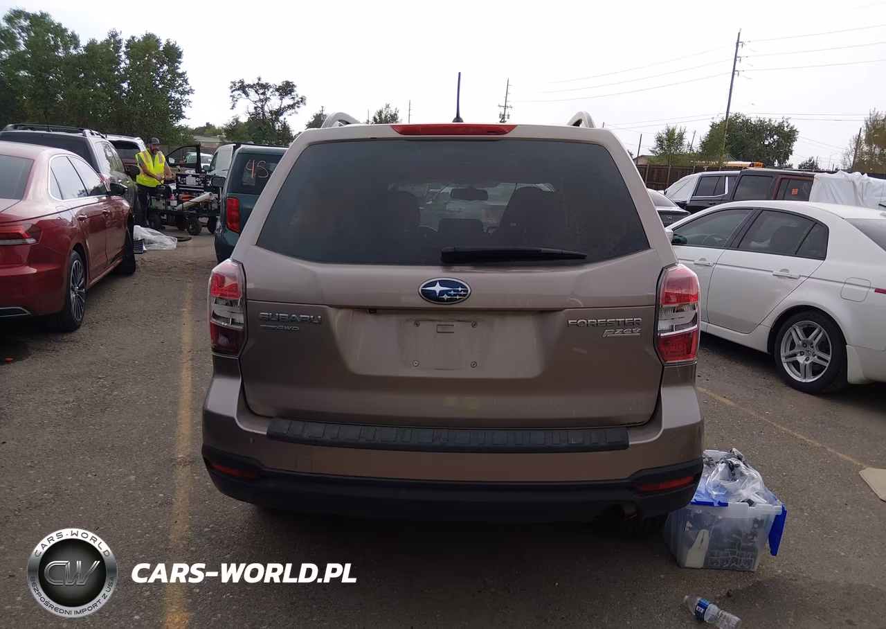 2015 Subaru Forester 2.5I Premium VIN:JF2SJADC2FH455976 - 17
