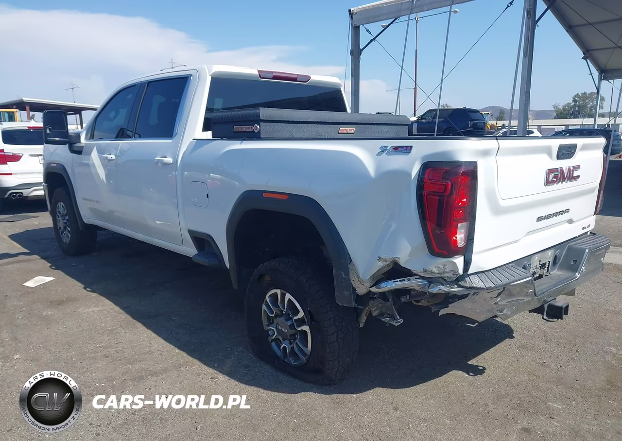 2023 GMC Sierra 3500Hd 4Wd Standard Bed Sle VIN:1GT49TEY8PF223370 - 3