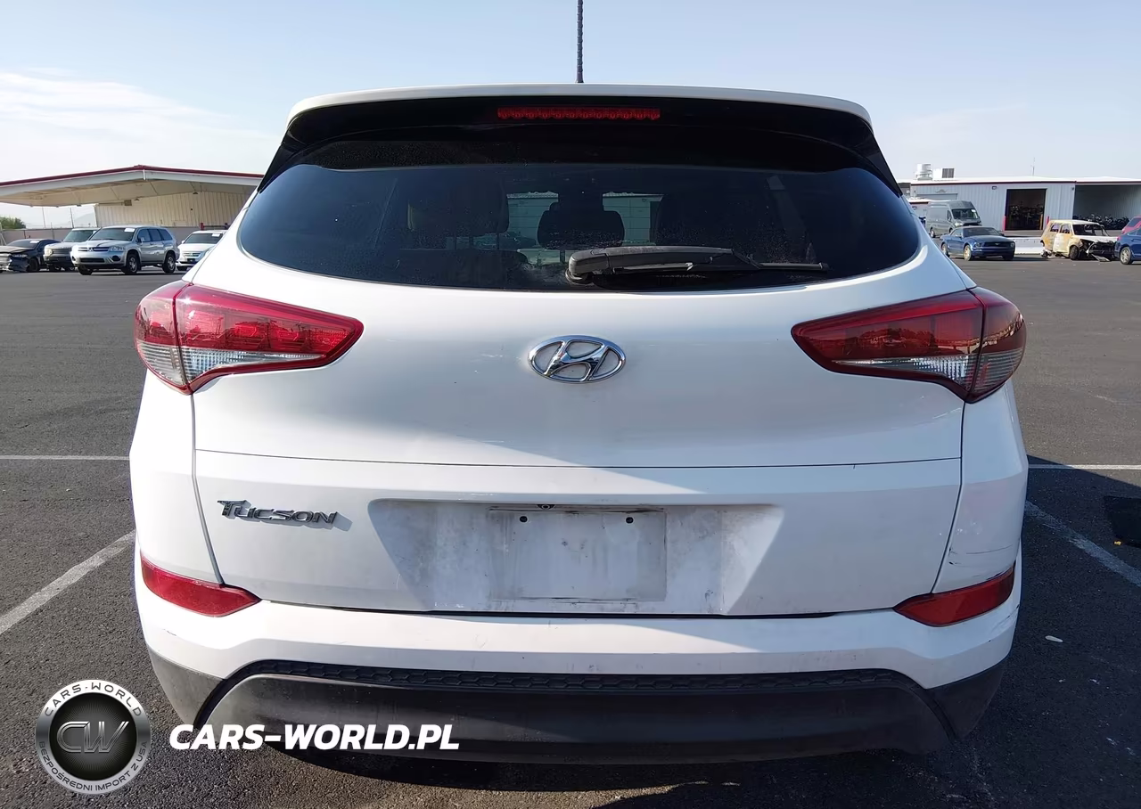 2016 Hyundai Tucson Se VIN:KM8J33A4XGU192430 - 17