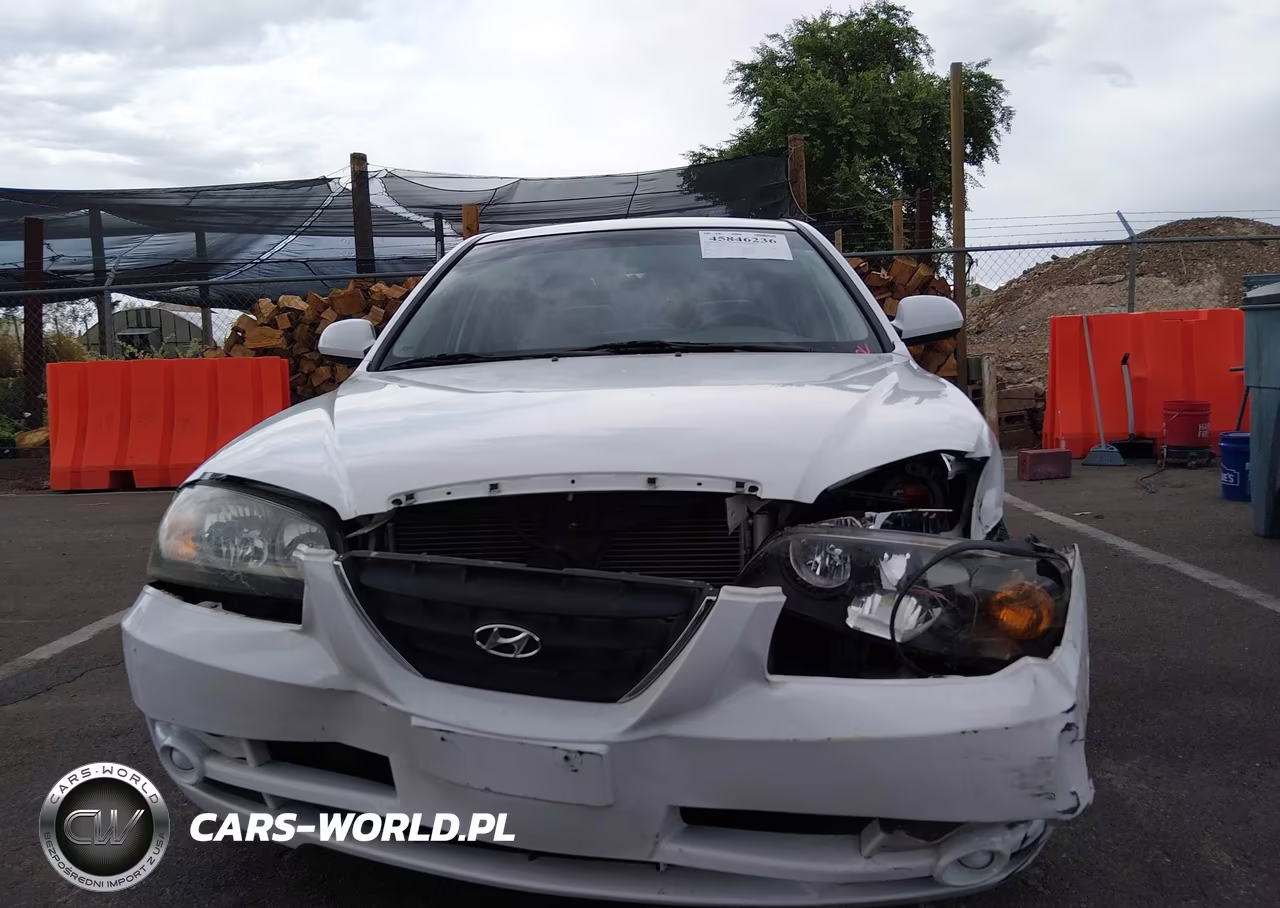 2004 Hyundai Elantra Gls-Gt VIN:KMHDN46DX4U745448 - 12