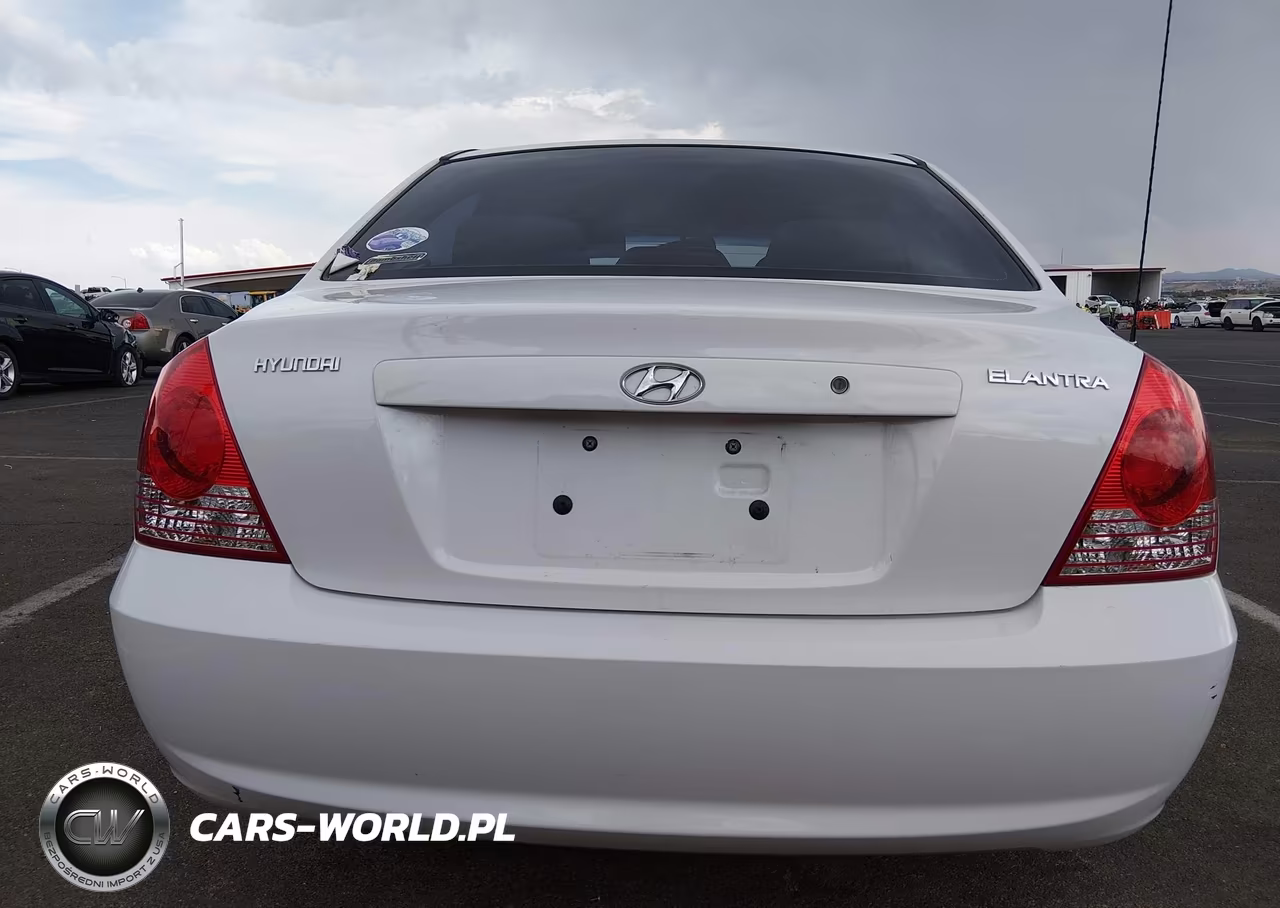 2004 Hyundai Elantra Gls-Gt VIN:KMHDN46DX4U745448 - 16