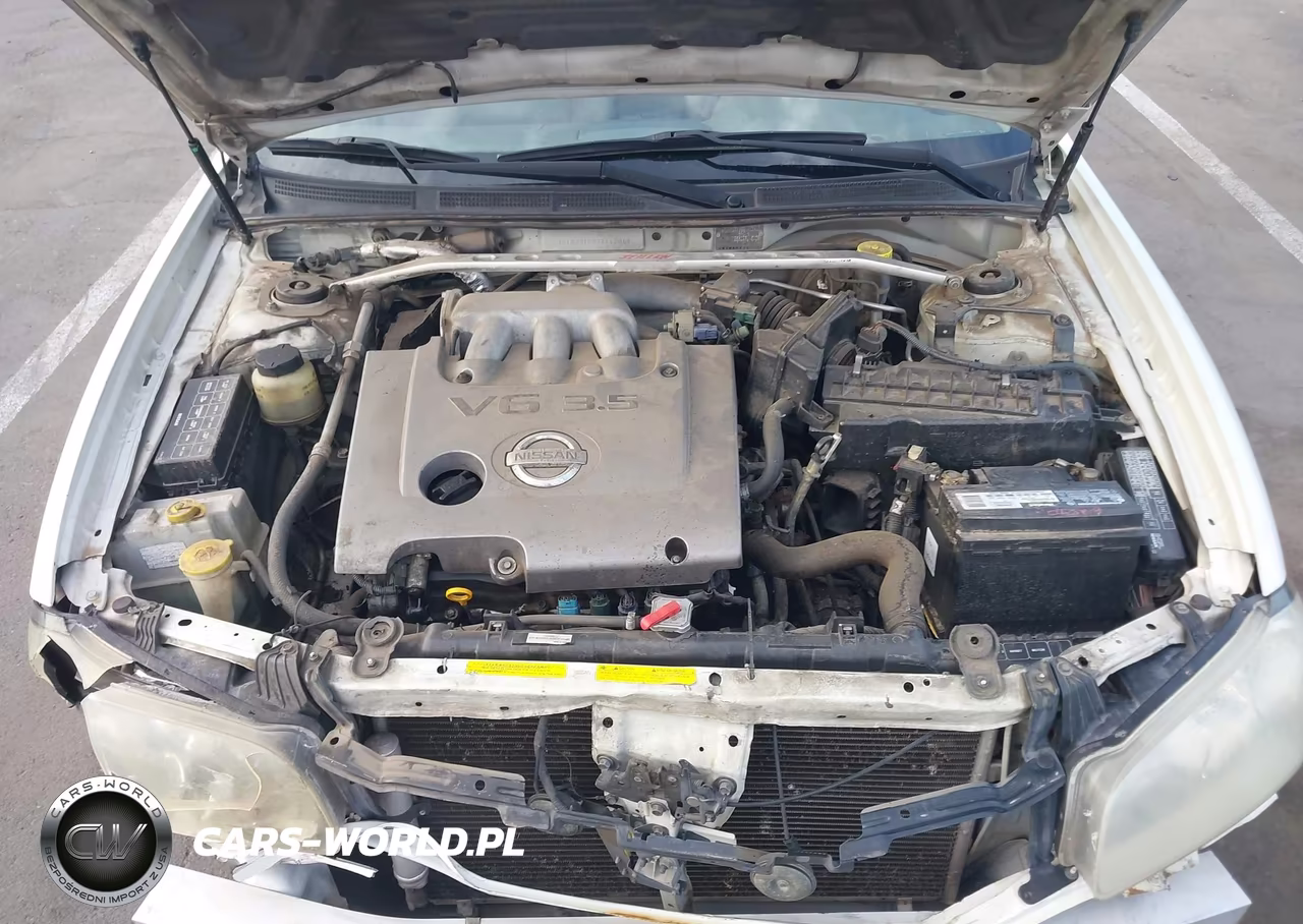 2002 Nissan Maxima Gle VIN:JN1DA31D52T442049 - 10