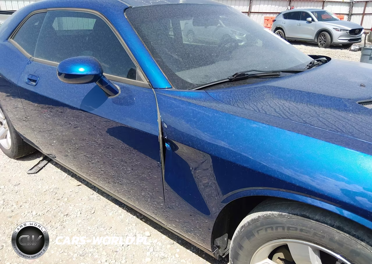 2009 Dodge Challenger Se VIN:2B3LJ44V49H559746 - 6