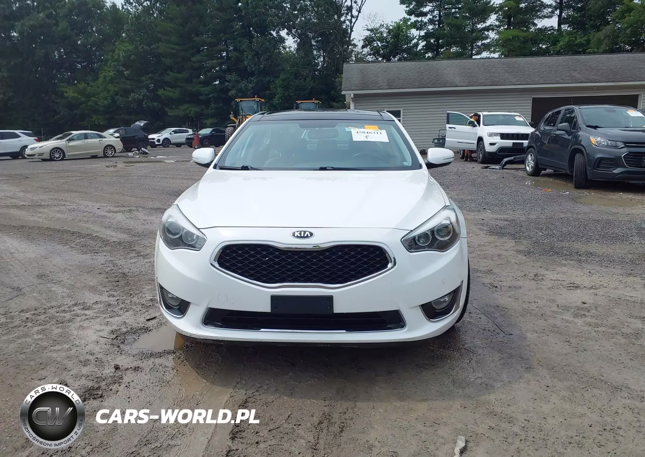 2015 Kia Cadenza Premium VIN:KNALN4D7XF5184854 - 13