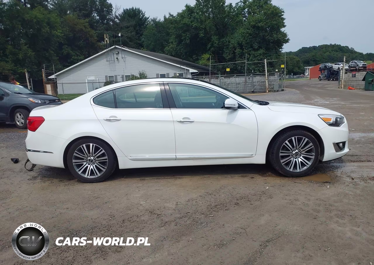2015 Kia Cadenza Premium VIN:KNALN4D7XF5184854 - 14