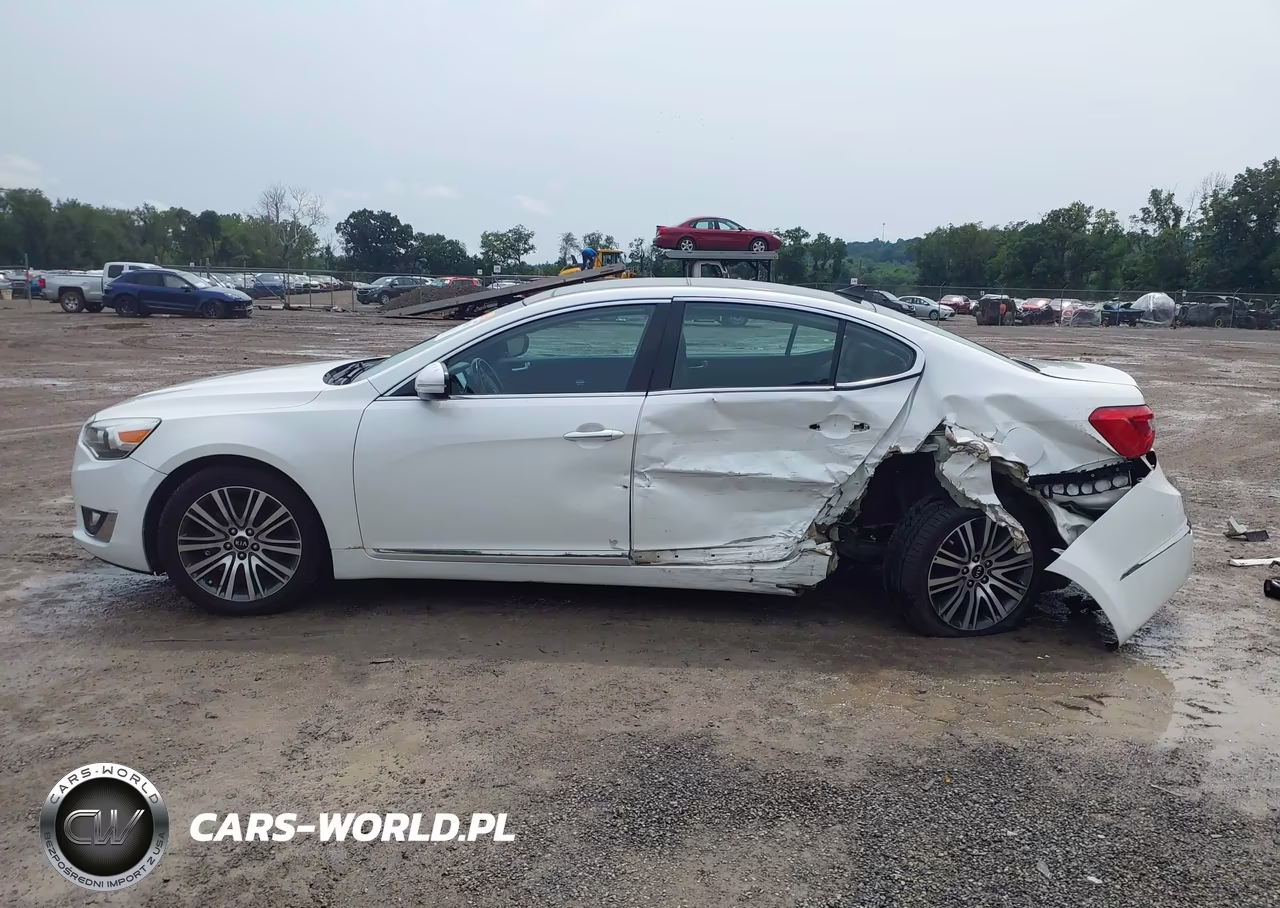 2015 Kia Cadenza Premium VIN:KNALN4D7XF5184854 - 15