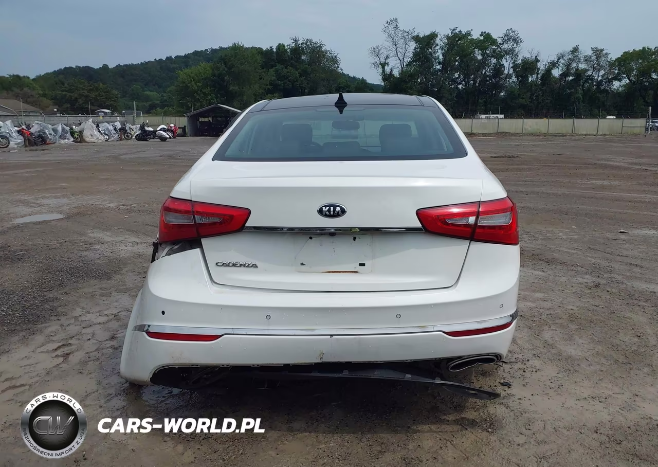 2015 Kia Cadenza Premium VIN:KNALN4D7XF5184854 - 17