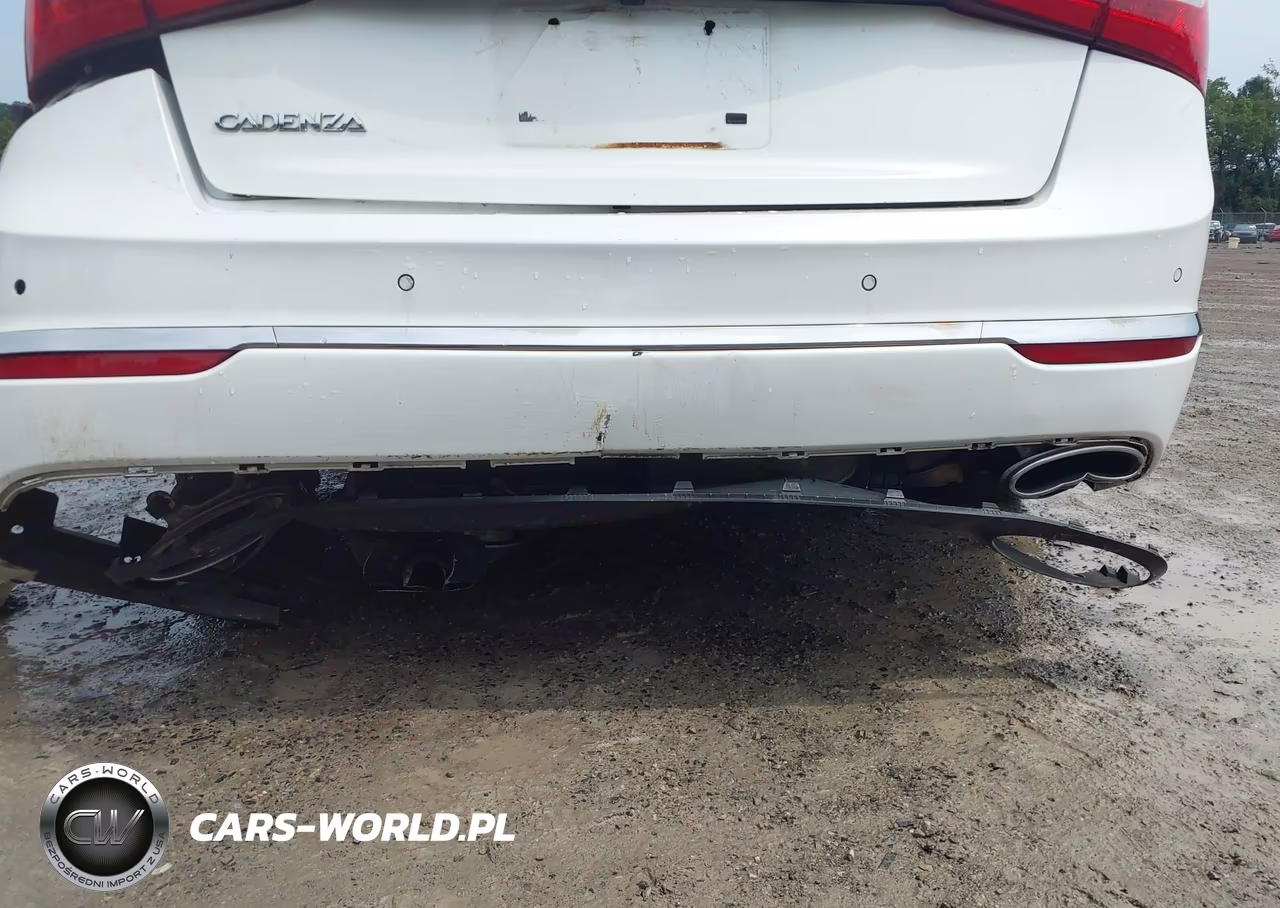 2015 Kia Cadenza Premium VIN:KNALN4D7XF5184854 - 19