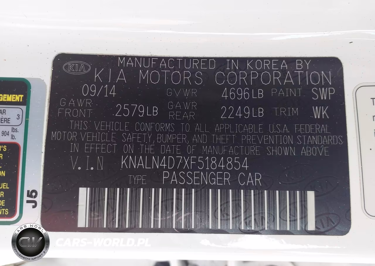 2015 Kia Cadenza Premium VIN:KNALN4D7XF5184854 - 9