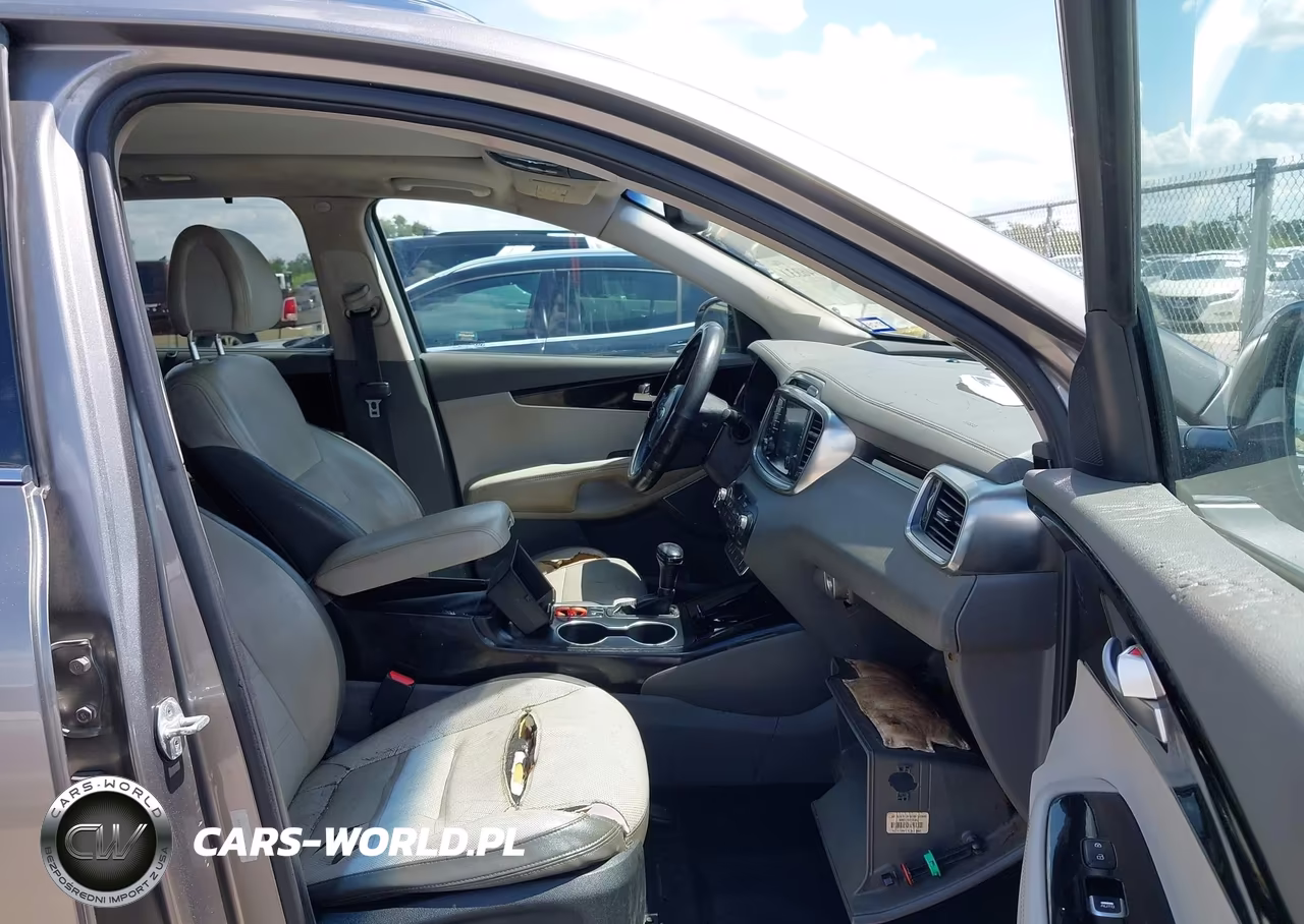2016 Kia Sorento 3.3L Sx VIN:5XYPK4A54GG076075 - 5