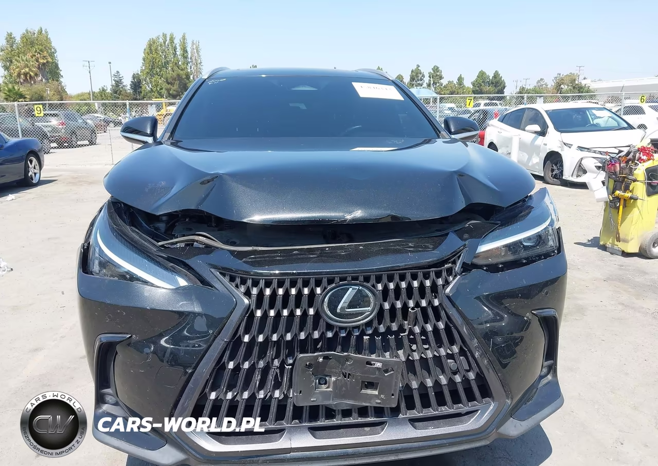 2023 Lexus Nx 250 Premium VIN:2T2GDCAZ1PC002997 - 12