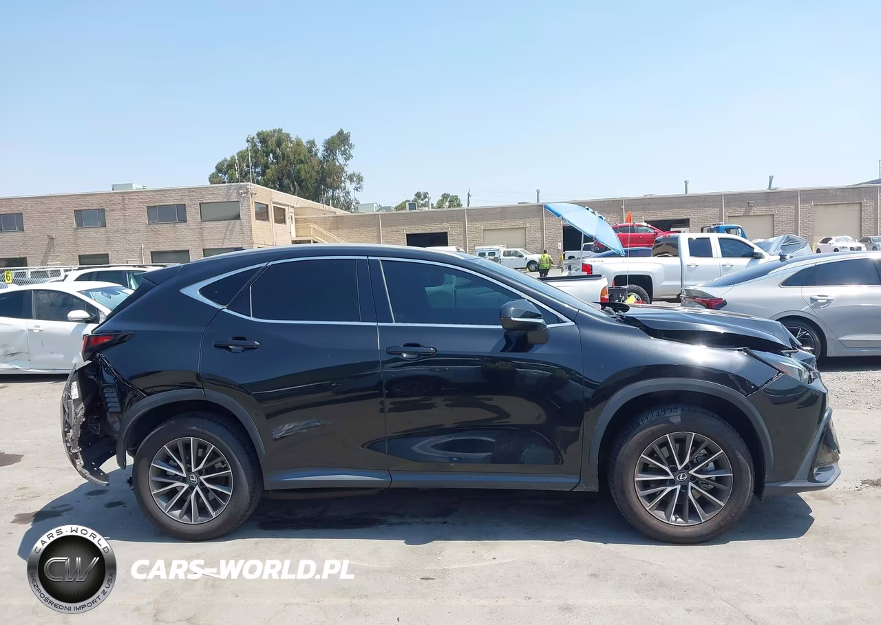 2023 Lexus Nx 250 Premium VIN:2T2GDCAZ1PC002997 - 13
