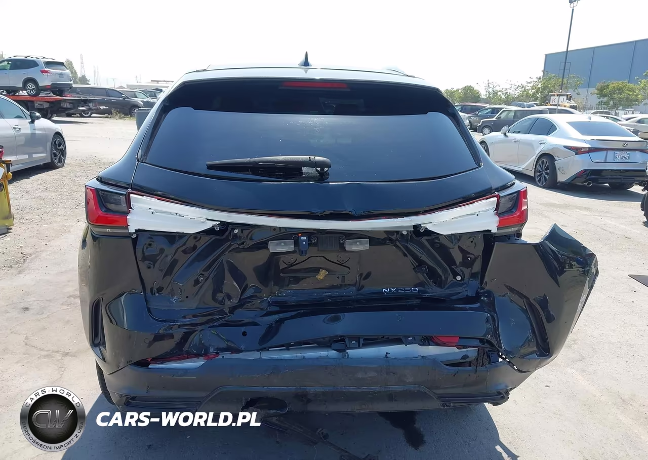 2023 Lexus Nx 250 Premium VIN:2T2GDCAZ1PC002997 - 16