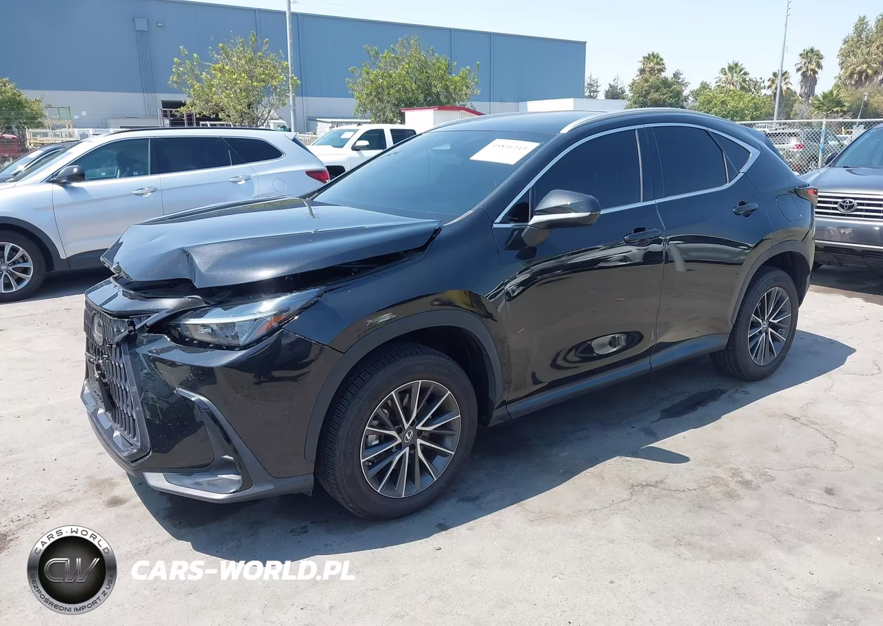 2023 Lexus Nx 250 Premium VIN:2T2GDCAZ1PC002997 - 2