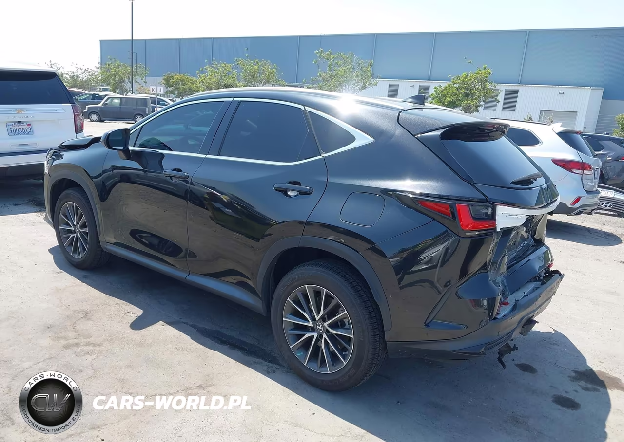 2023 Lexus Nx 250 Premium VIN:2T2GDCAZ1PC002997 - 3