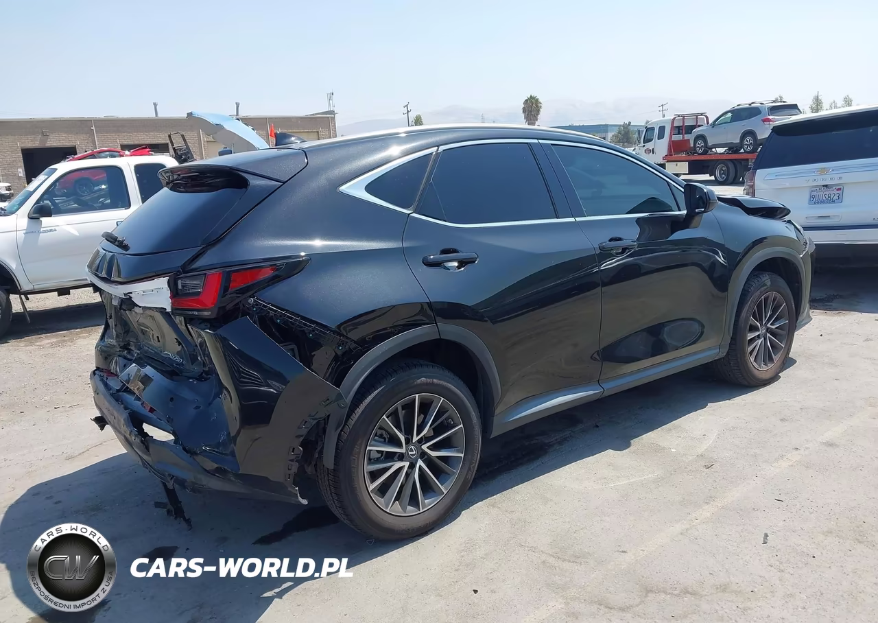 2023 Lexus Nx 250 Premium VIN:2T2GDCAZ1PC002997 - 4