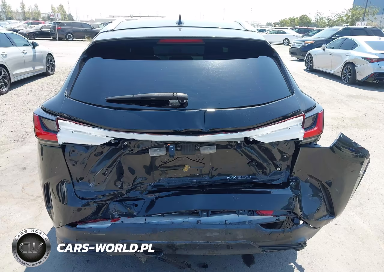 2023 Lexus Nx 250 Premium VIN:2T2GDCAZ1PC002997 - 6
