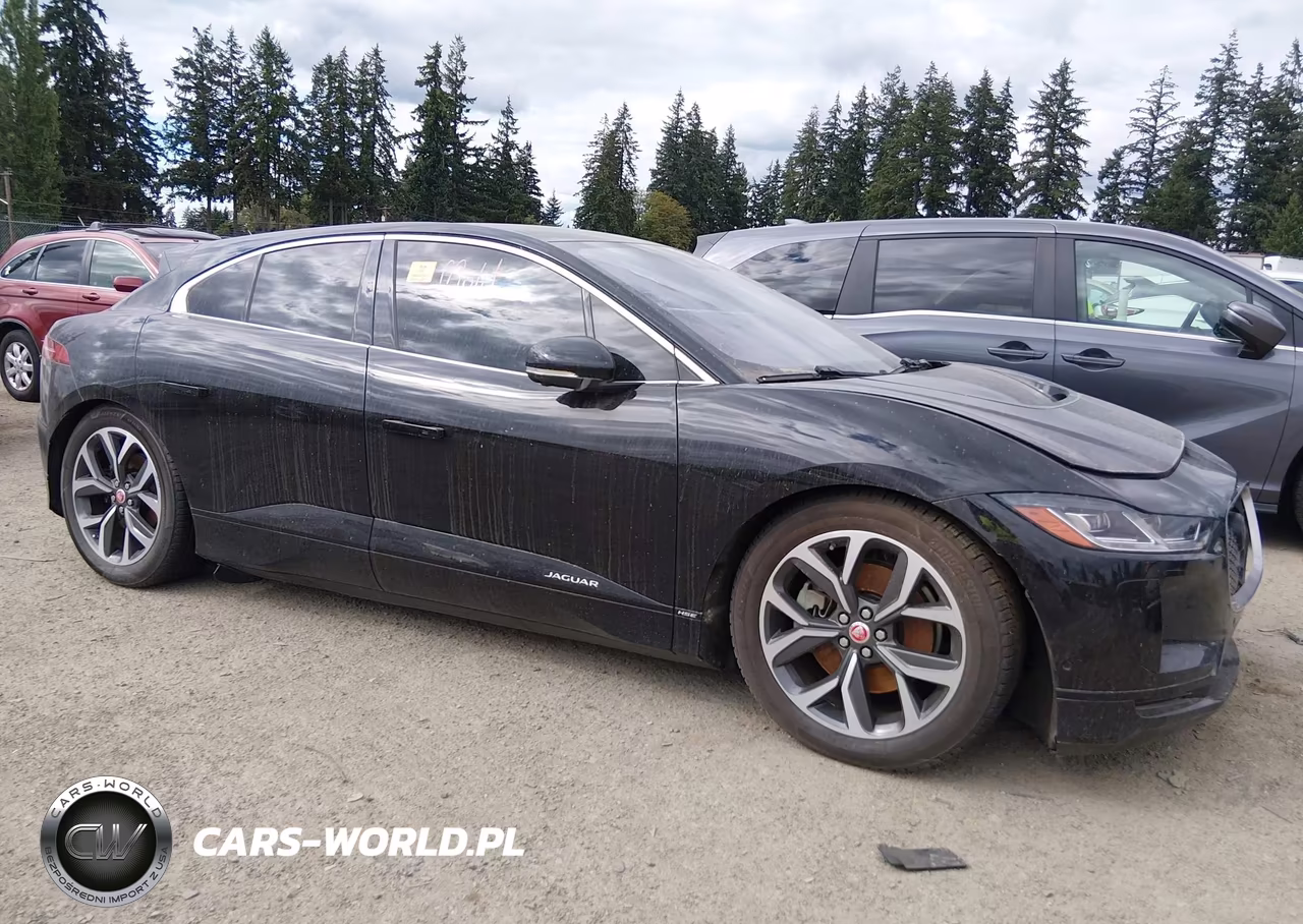 2019 Jaguar I-Pace First Edition-Hse VIN:SADHD2S13K1F61550 - 11