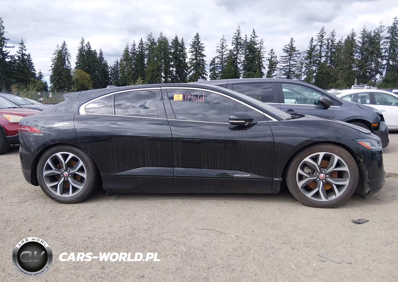 2019 Jaguar I-Pace First Edition-Hse VIN:SADHD2S13K1F61550 - 15