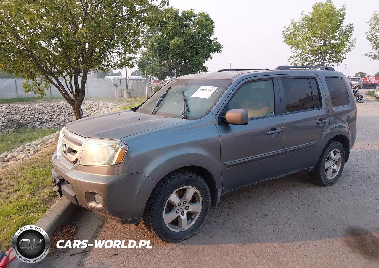 2009 Honda Pilot Ex-L VIN:5FNYF48549B036765 - 2