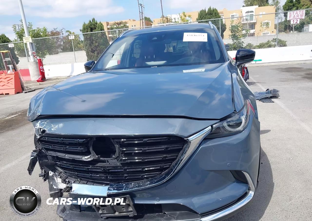 2023 Mazda Cx-9 Carbon Edition VIN:JM3TCBDY3P0634128 - 13