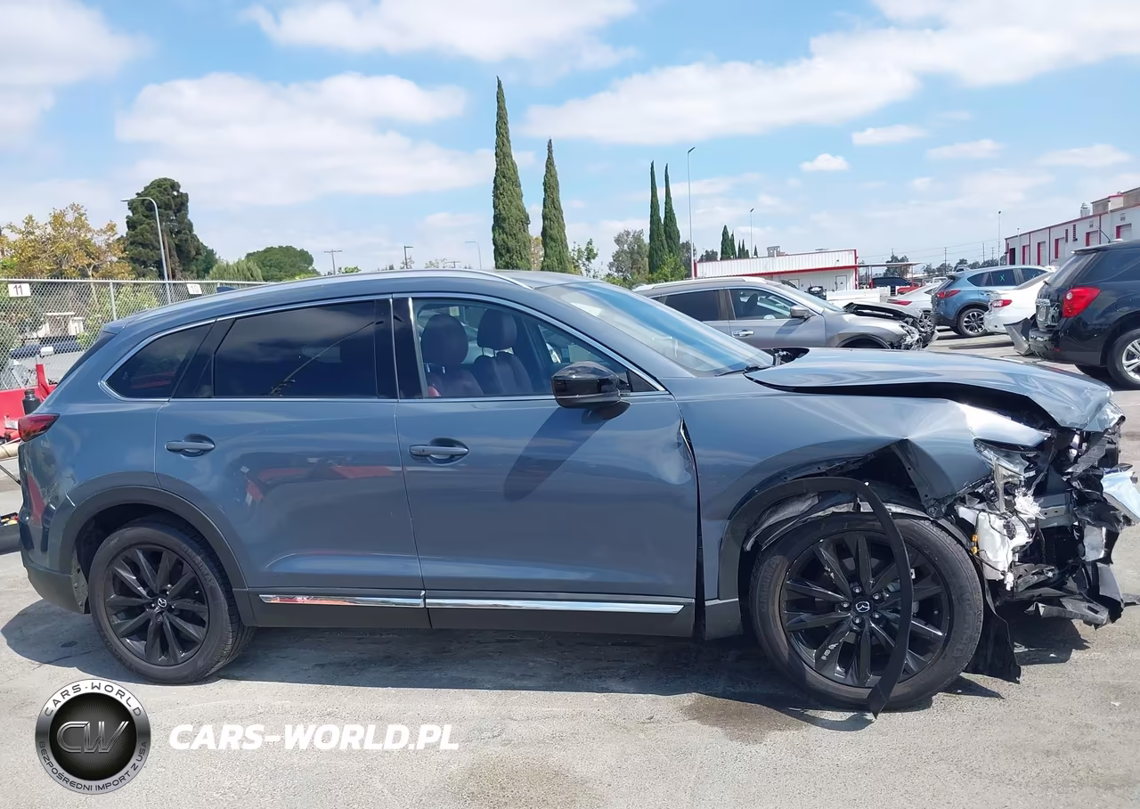 2023 Mazda Cx-9 Carbon Edition VIN:JM3TCBDY3P0634128 - 14